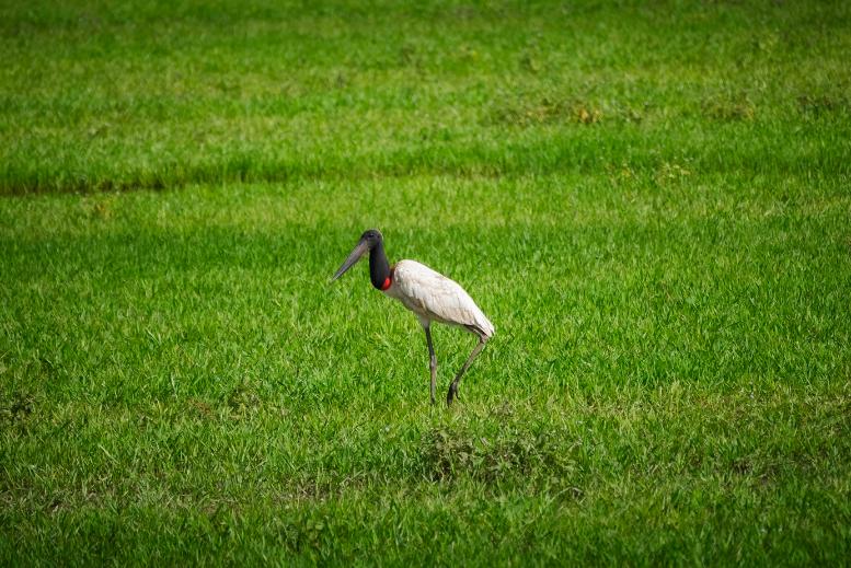 Boutique Cruise Interior